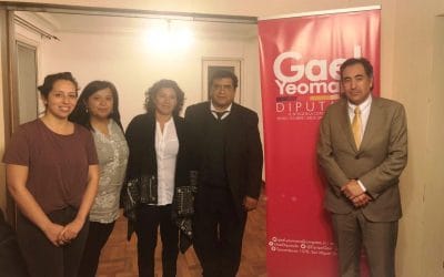 Directivas ANEIICH y AFIICH DRM Sur se reúnen con diputada Yeomans para plantear reparos a proyecto de Modernización Tributaria