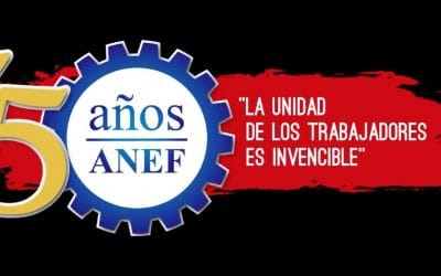 ANEIICH convoca a todos y todas a participar de proceso eleccionario ANEF