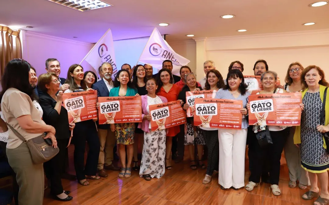 Lanzamiento campaña #QueNoTePasenGatoxLiebre