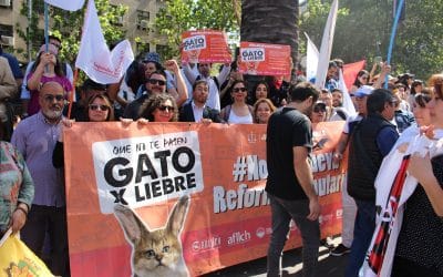 Comunicado conjunto ANEIICH-AFIICH de evaluación de primera jornada de Huelga General