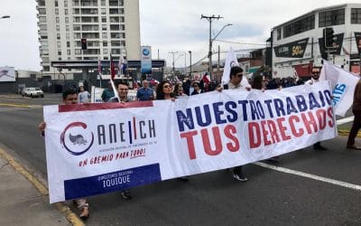 Acciones y estrategias para implementar el plan nacional y responder a la realidad local: ANEIICH entrega orientaciones para directorios regionales 2020-2022