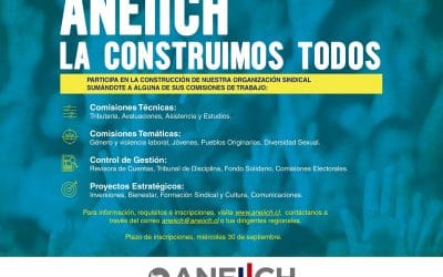 Participación informada y trabajo en conjunto a nivel nacional: ANEIICH presenta su plan de Comisiones de Trabajo