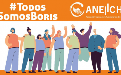 Triunfo en Corte de Apelaciones y gestión de pensión Invalidez #TodosSomosBoris