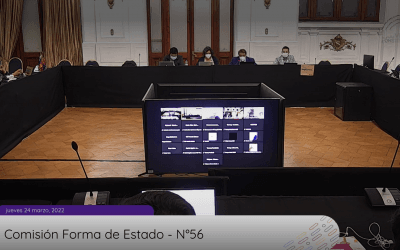 Comisión Forma de Estado de la Convención Constitucional aprueba en general iniciativa por Servicios Públicos dignos y de calidad