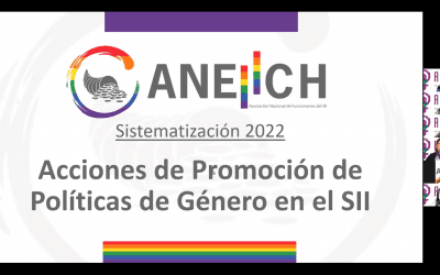 Encuentro ANEIICH Ahora es con Nosotras: Brechas de género y desafíos sindicales en el SII