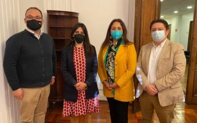 Directorio Nacional ANEIICH se reúne con la Subsecretaria de Hacienda