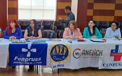 ANEIICH asiste a encuentro regional de mujeres en Lima “Reconstrucción de la Organización Social del Cuidado”