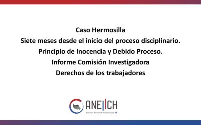 Caso Hermosilla: Siete meses desde el inicio del proceso disciplinario. Principio de Inocencia y Debido Proceso.