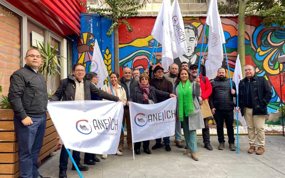 Dirigencia ANEIICH se moviliza rechazando PDL que modifica el SIL