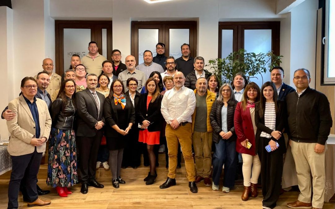 Consejo Consultivo ANEIICH 2025: Construyendo colectivamente la hoja de ruta para los próximos meses