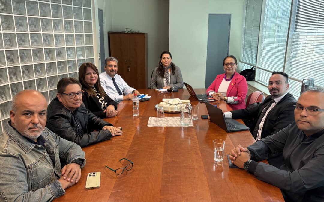 ANEIICH aborda carga disciplinaria y transparencia con Subdirección de Contraloría Interna del SII