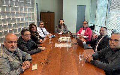 ANEIICH aborda carga disciplinaria y transparencia con Subdirección de Contraloría Interna del SII