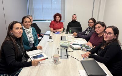 SII convoca a ANEIICH Nacional a Comité de Teletrabajo