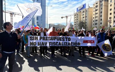 ANEIICH participa en movilizaciones ante recortes presupuestarios y en defensa de los servicios públicos